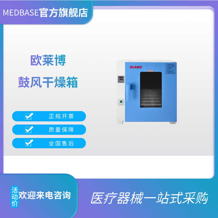 電熱鼓風(fēng)干燥箱DHG-9070A